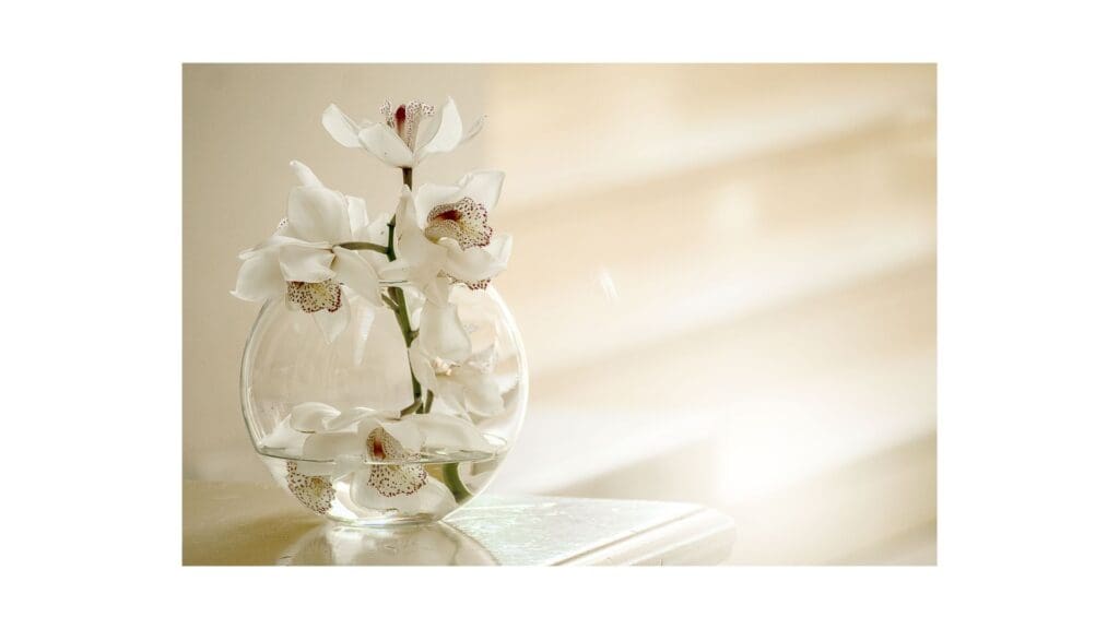 A vase with flowers on top of a table.