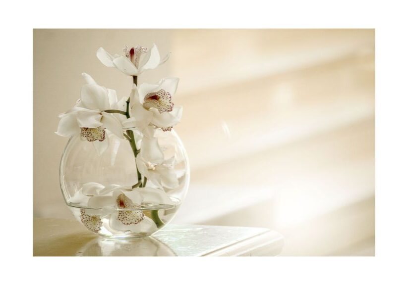 A vase with flowers on top of a table.